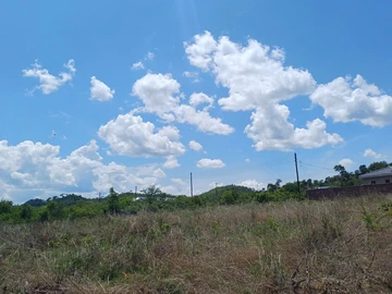 Commercial & Industrial Land