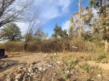 Commercial & Industrial Land