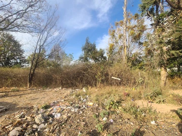 Commercial & Industrial Land