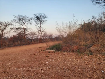 Land