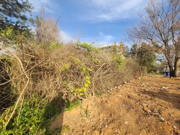 Commercial & Industrial Land