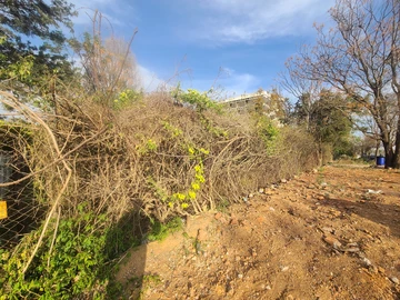 Commercial & Industrial Land