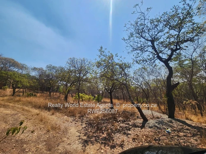 Hunyani Hills Stands - Lake Chivero