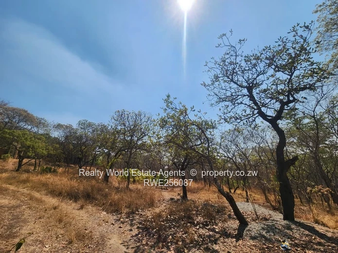Hunyani Hills Stands - Lake Chivero