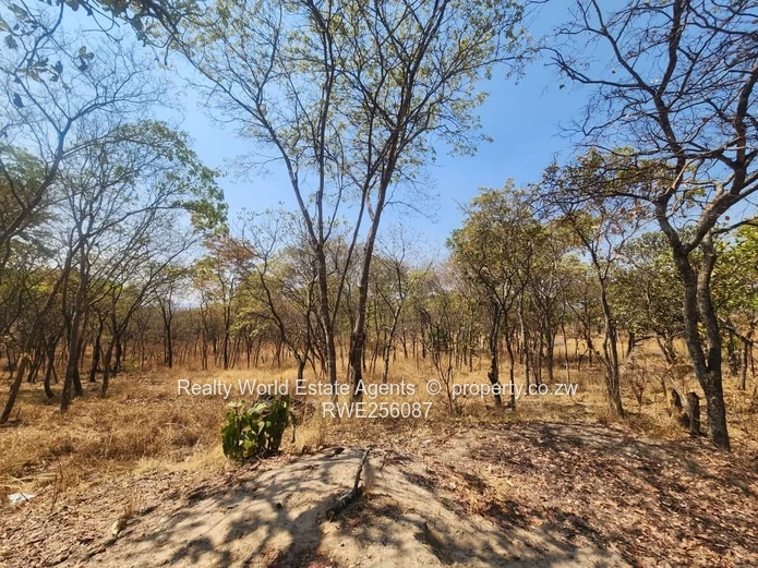 Hunyani Hills Stands - Lake Chivero