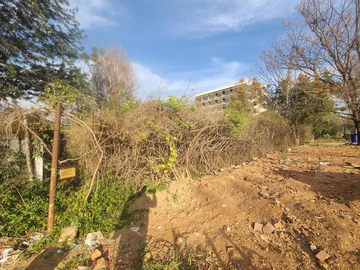 Commercial & Industrial Land